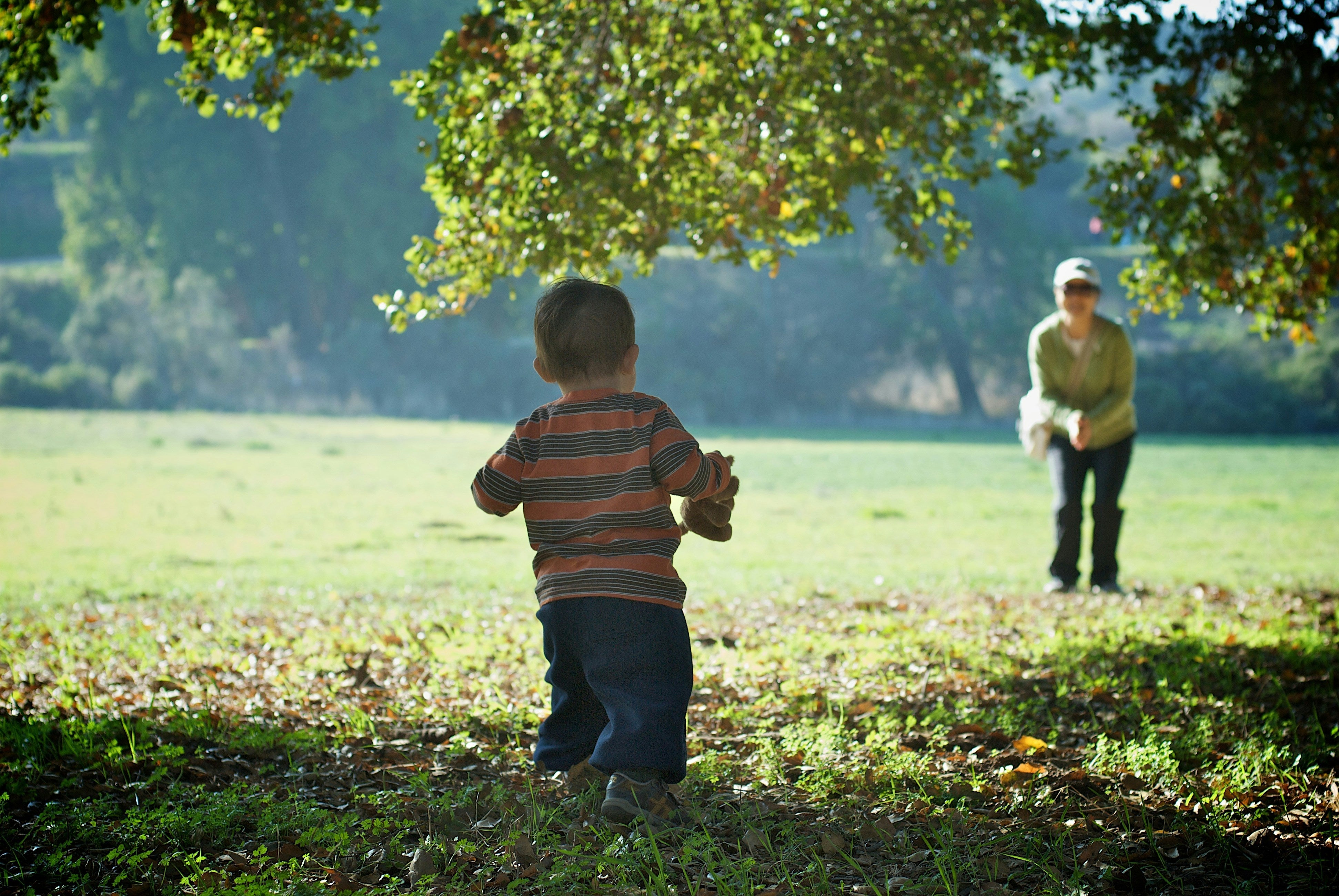 Baby’s First Year: A Comprehensive Guide to Your Little One’s Milestones