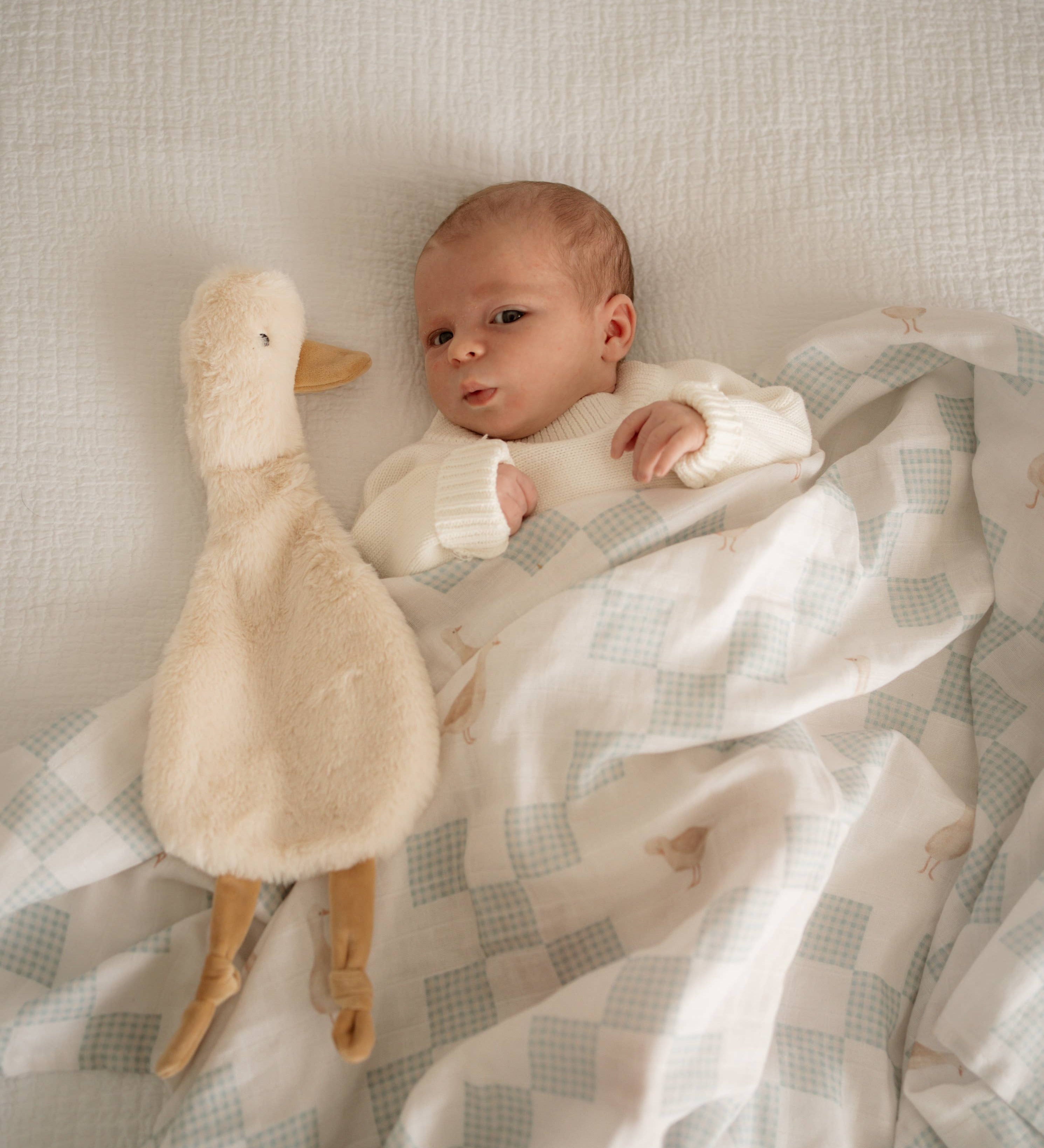 Newborn baby lying on a checkered blanket with Quacks the Comforter Toy
