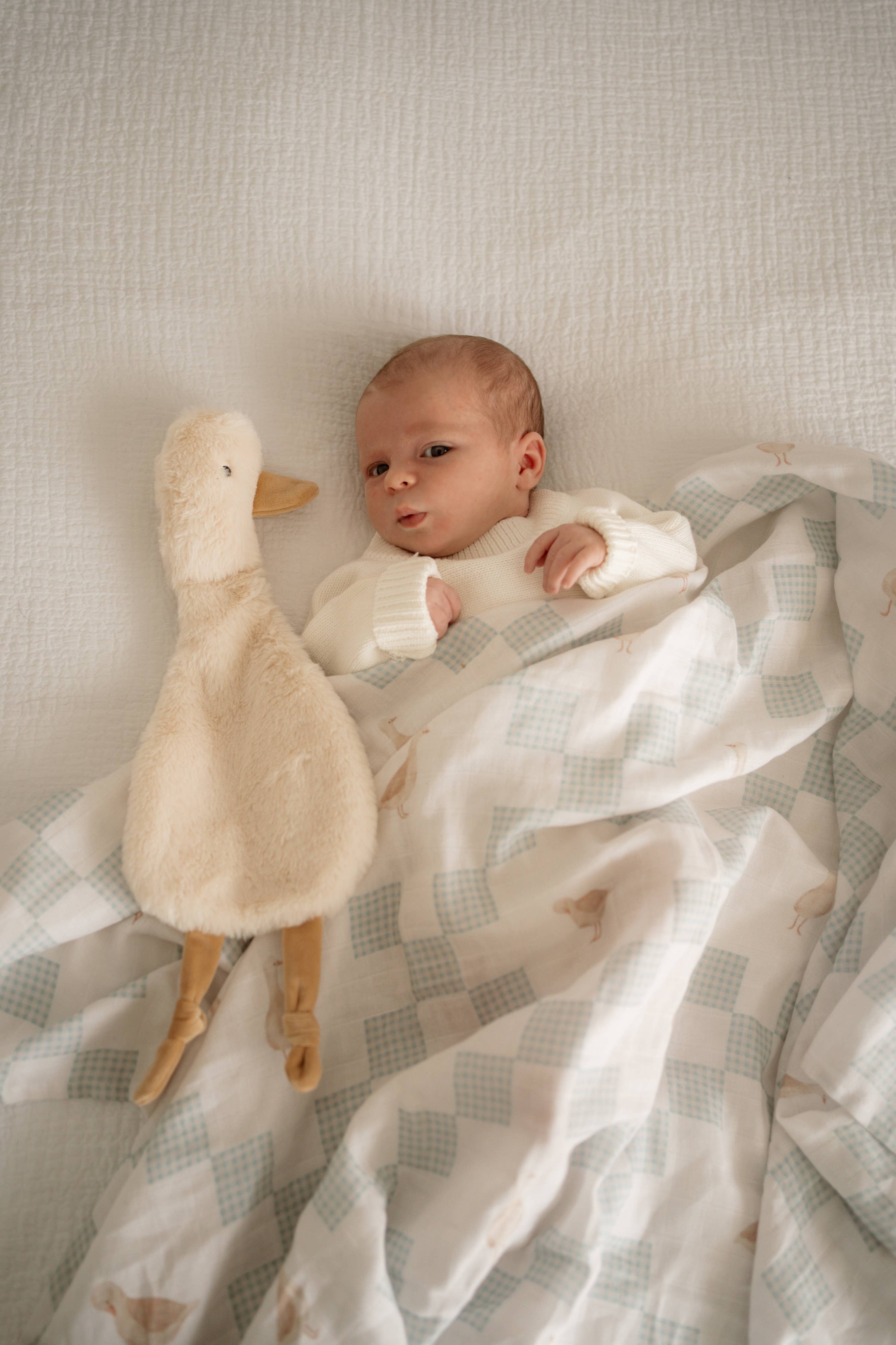 Newborn baby lying on a checkered blanket with Quacks the Comforter Toy