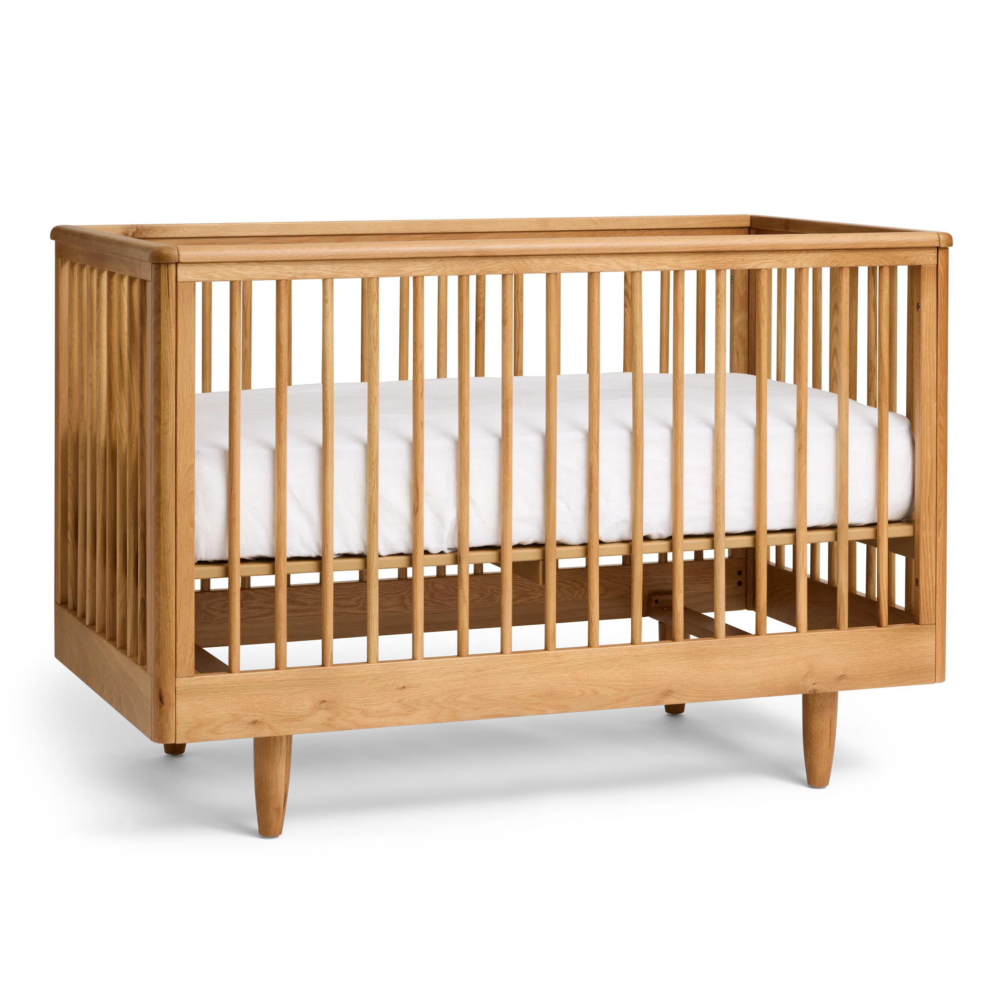 George Cot from Cariboo on a white background