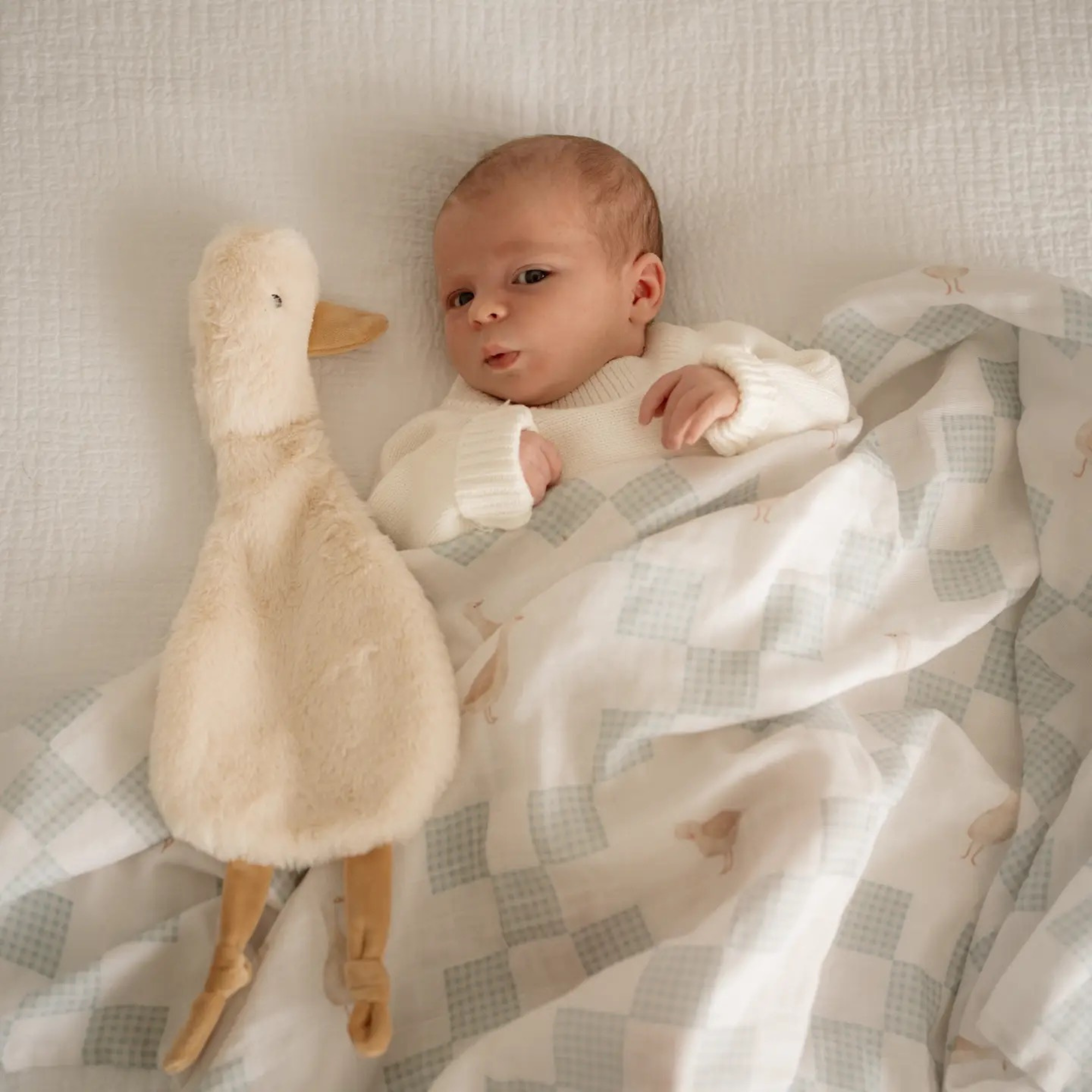 Baby wrapped in a blanket with a Waddles the Goose Comforter Toy on a soft surface