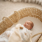 Newborn baby in a crib with a soft toy, surrounded by neutral tones.