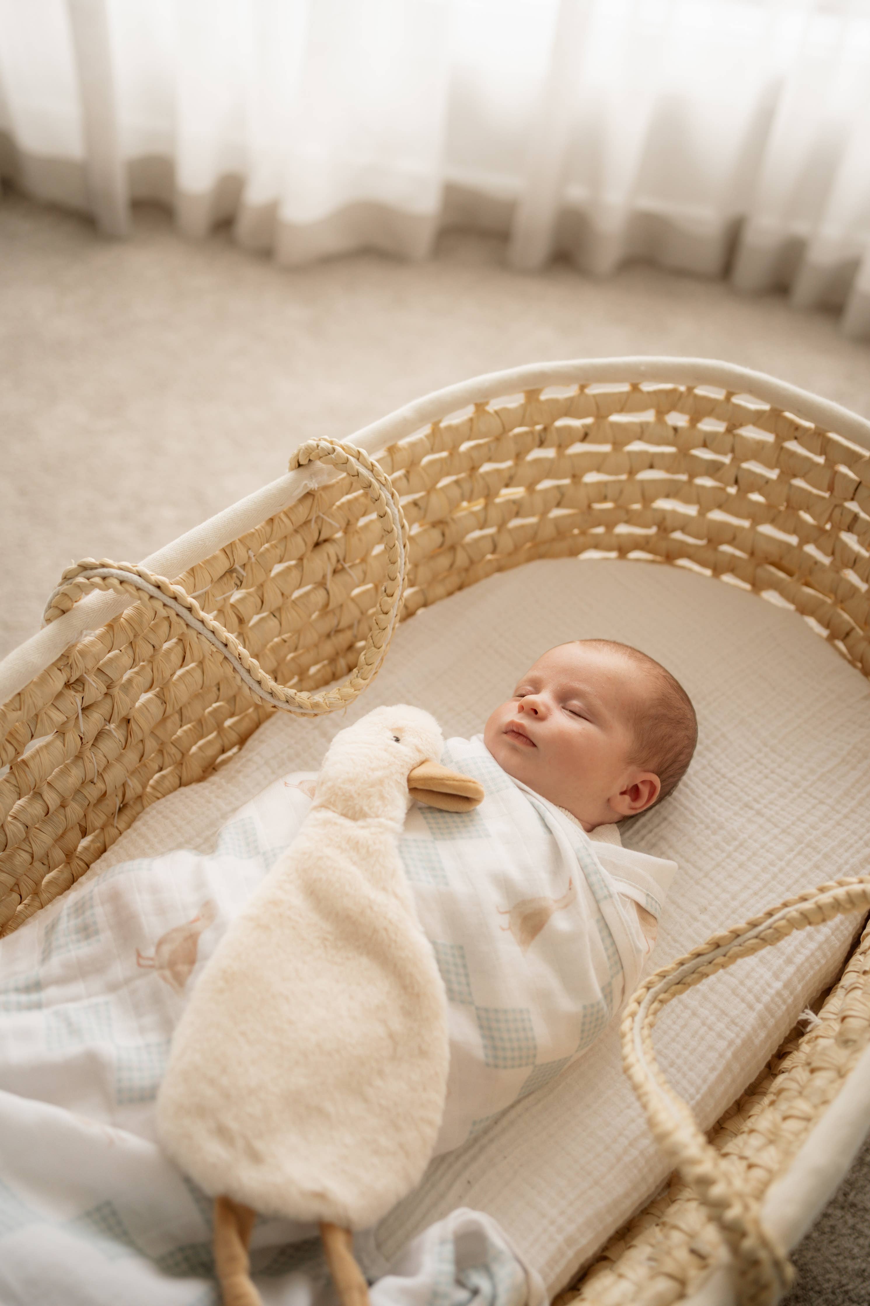 Newborn baby in a crib with a soft toy, surrounded by neutral tones.